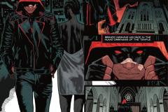 Red-Hood-001-2025-0005